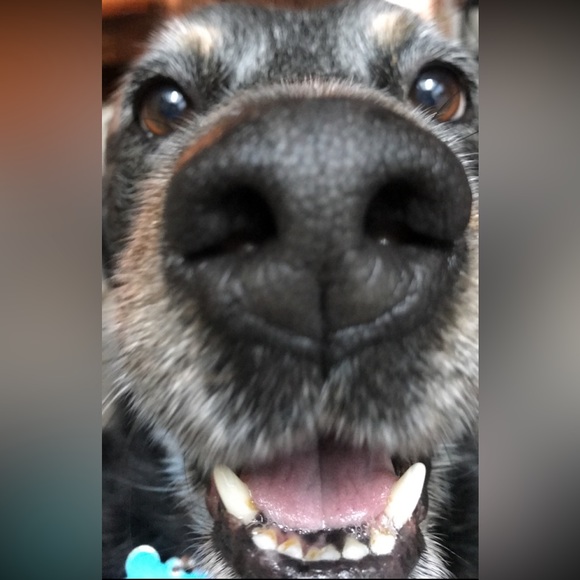 Meet your stylist, Cecilia - Picture 4 of 4